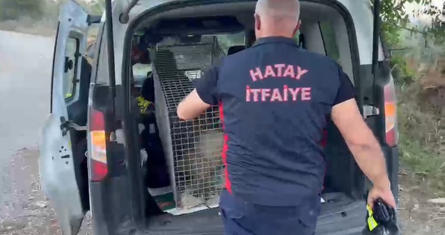 Porsuk Sulama Havuzundan Kurtarıldı