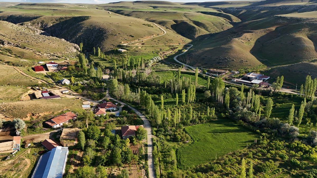 Buğdaylı Köyü Yeşerdi
