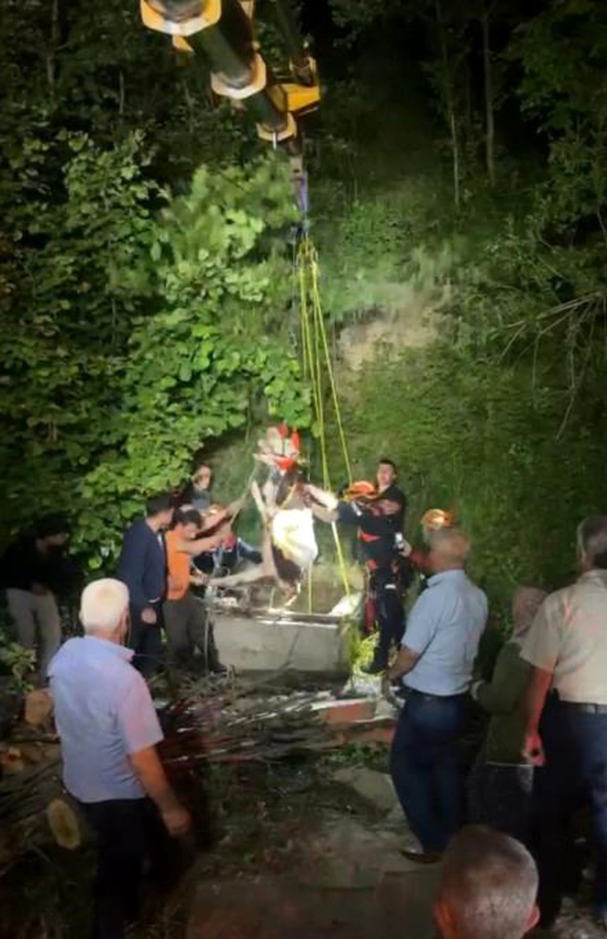 Kastamonu\'da İnek Su Kuyusundan Kurtarıldı