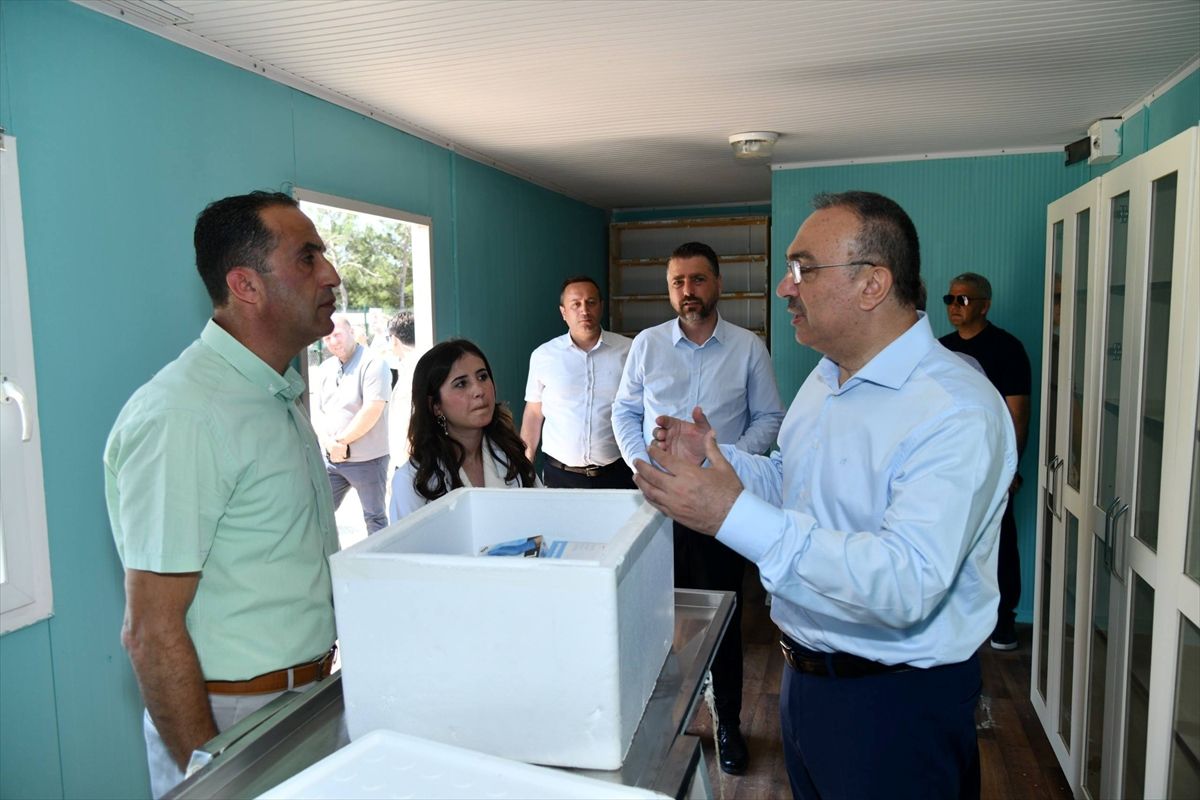 Tekirdağ\'da Sahipsiz Hayvan Alanı İncelemesi