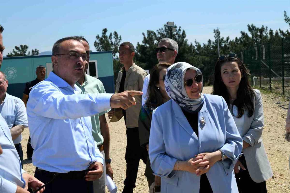 Tekirdağ Valisi Soytürk, Şarköy\'deki sahipsiz hayvan doğal yaşam alanını inceledi