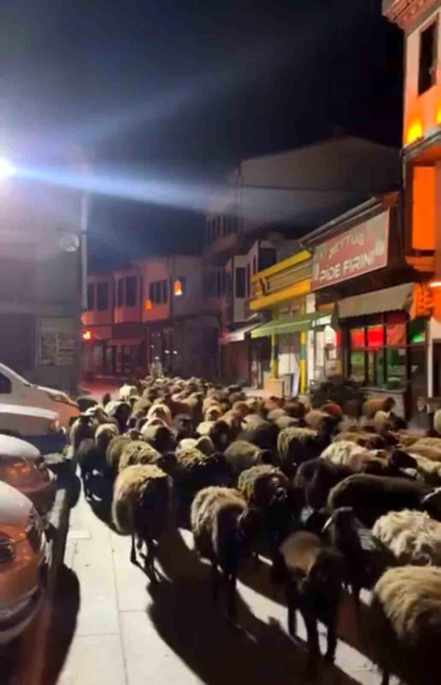 Tokat'ta Bahar Göçü Şöleni