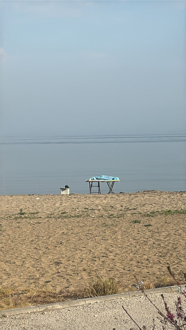Yalova'da kayıp 9 yaşındaki çocuğun cesedi bulundu