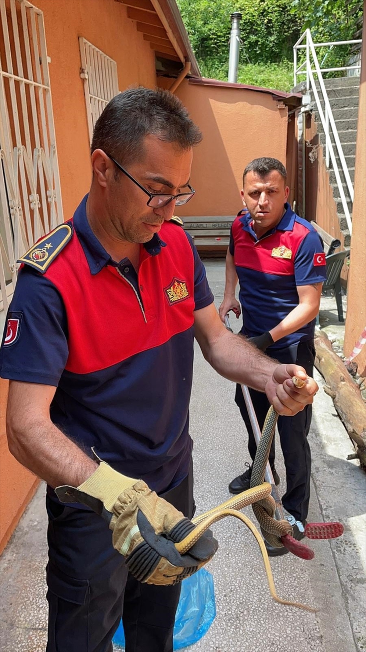 Alaplı\'da Aile Sağlığı Merkezine Yılan Girdi