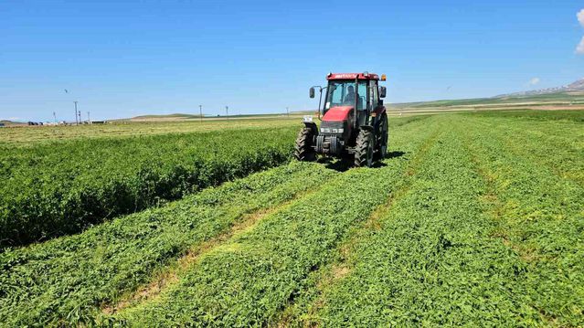 Adilcevaz'da Ot Biçme Sezonu Başladı