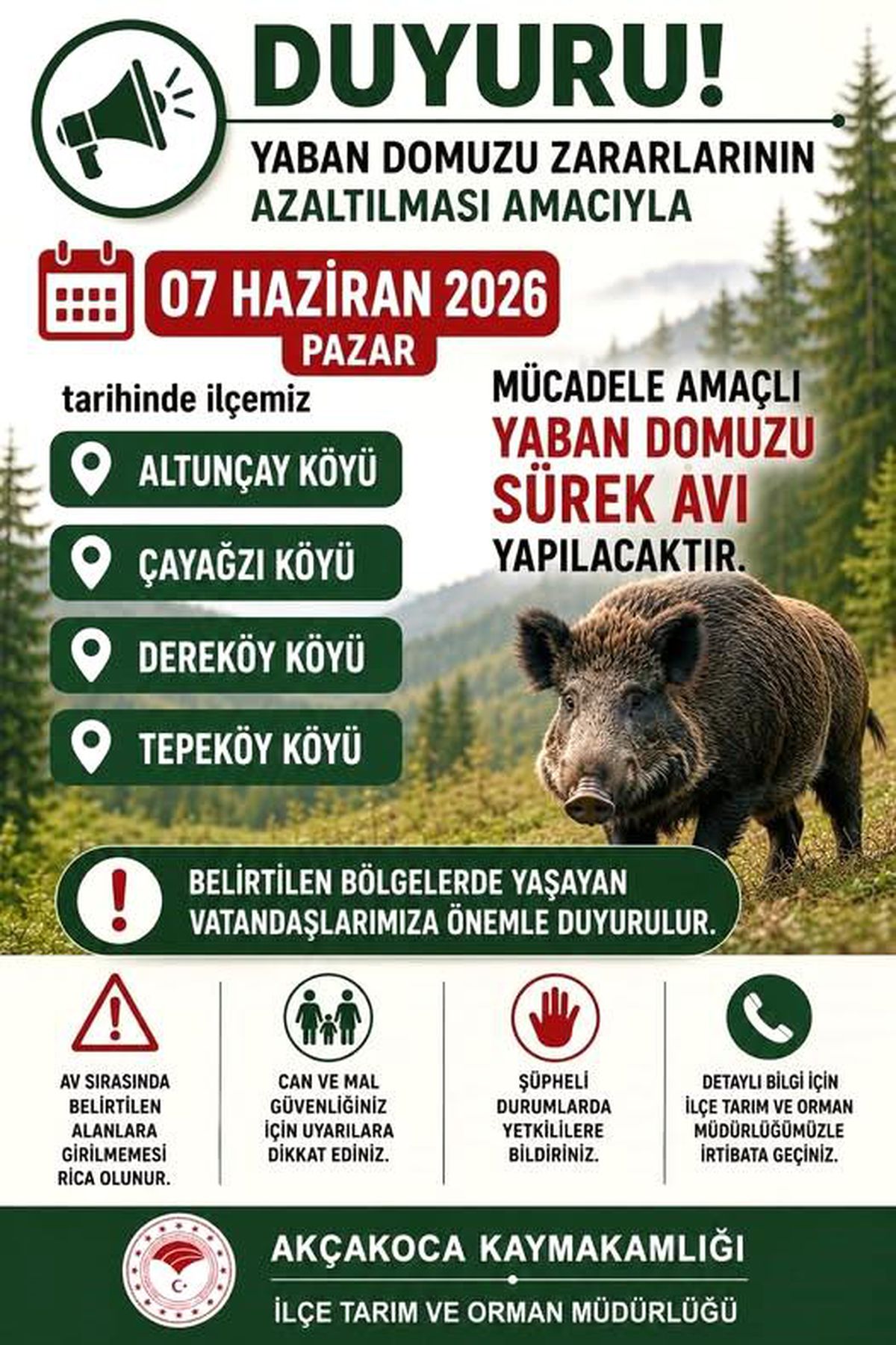 Düzce\'de Yaban Domuz Sürek Avı