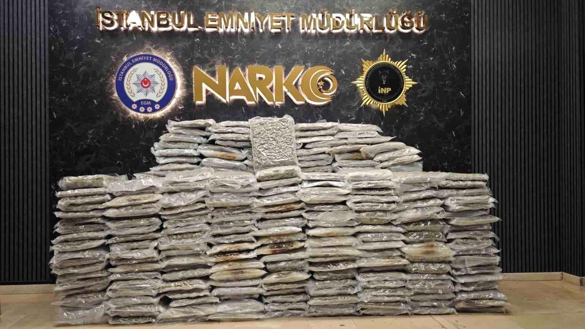İstanbul\'da 398 Kilo Skunk Ele Geçirildi