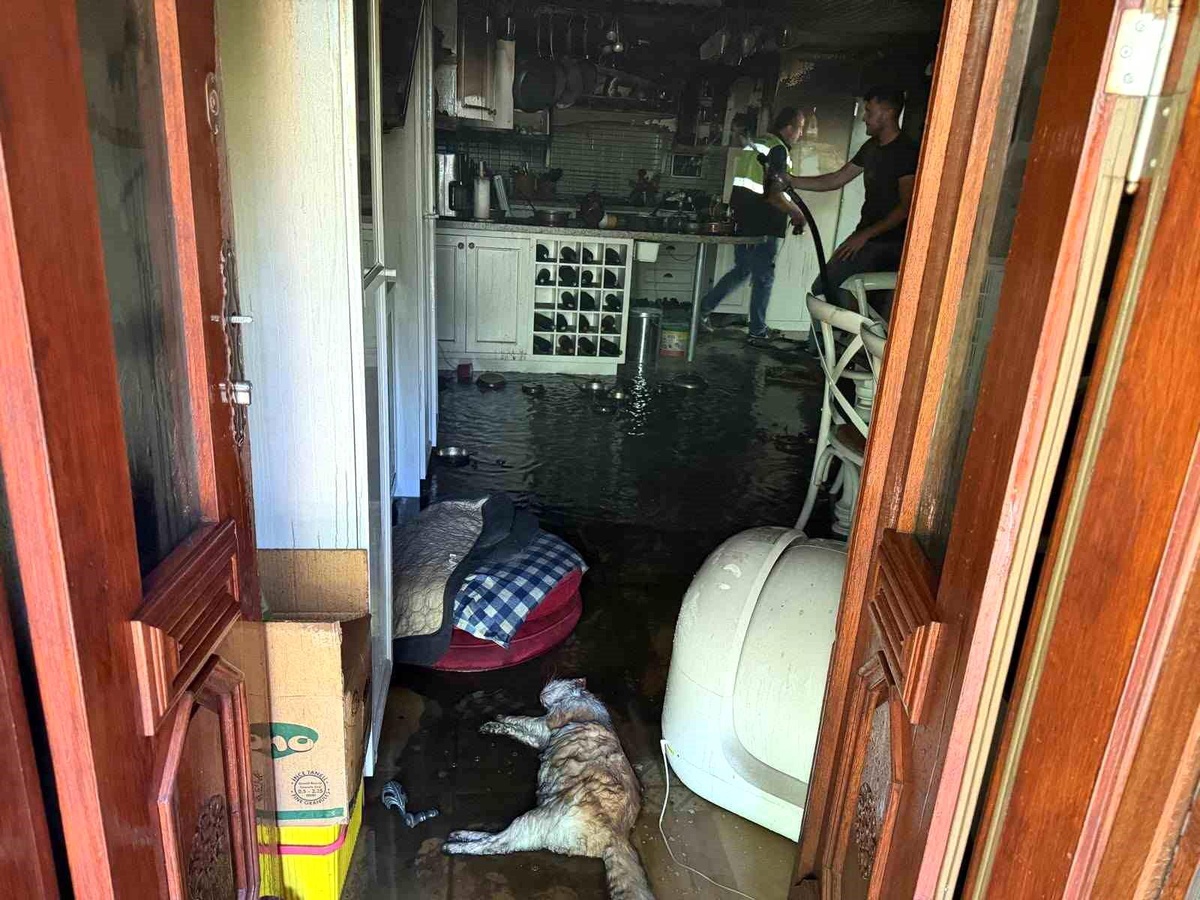 Küçükçetmi\'de villa yangını: 2 kedi telef oldu
