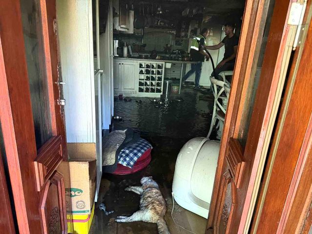 Küçükçetmi'de villa yangını: 2 kedi telef oldu