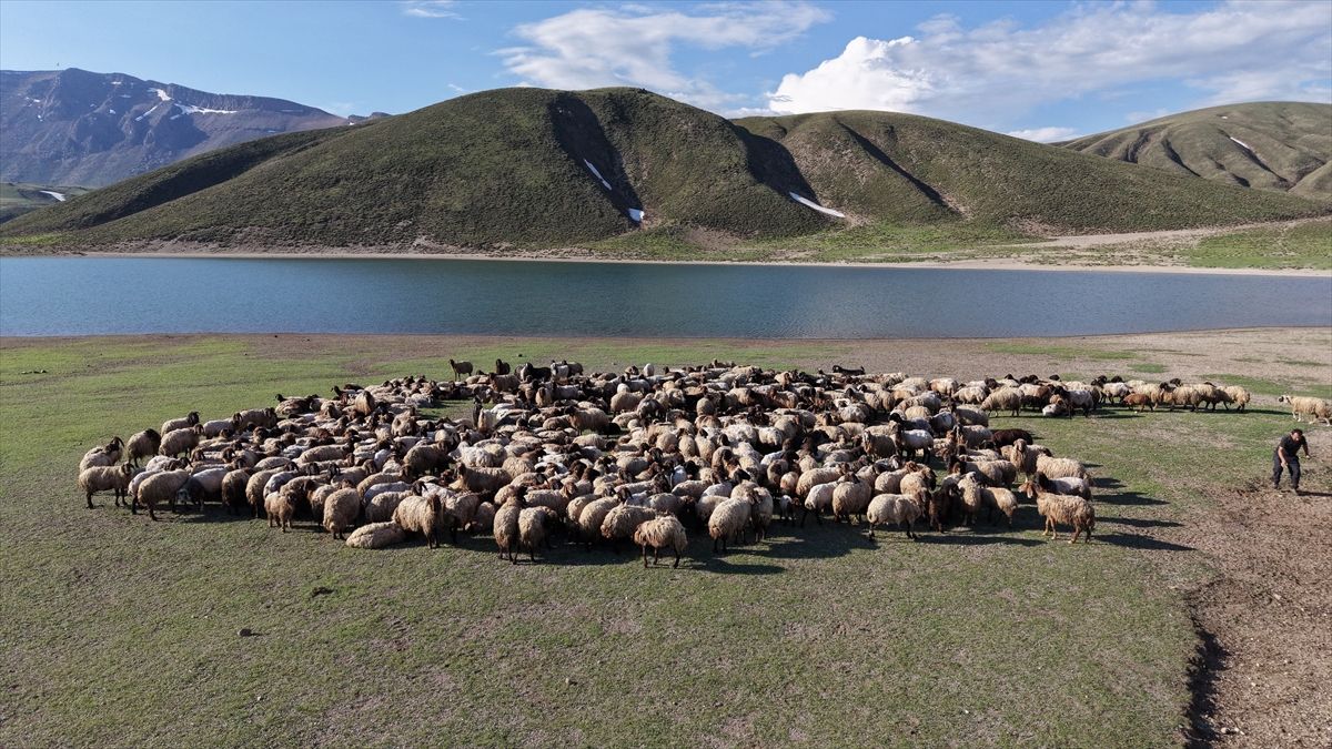 Bitlis Yaylaları Göçerleri Ağırlıyor