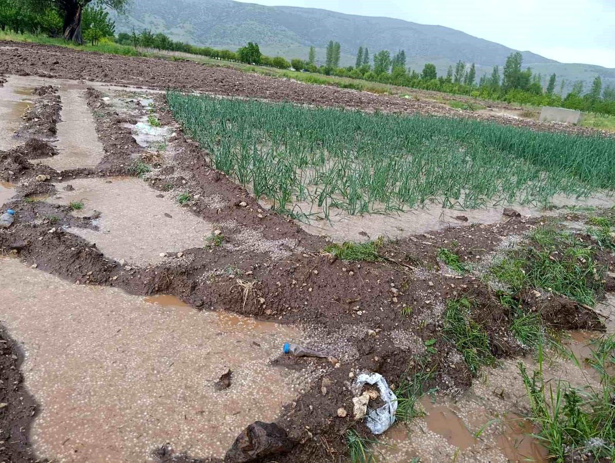 Malatya\'da Dolu ve Sağanak Tarımı Vurdu