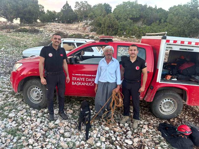 Mersin'de 70 metrelik mağarada mahsur kalan oğlak kurtarıldı