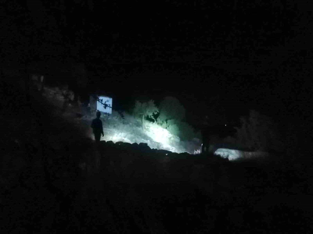 Yatağan\'da Kaybolan 84 Yaşındaki Kadın İçin Arama Çalışması