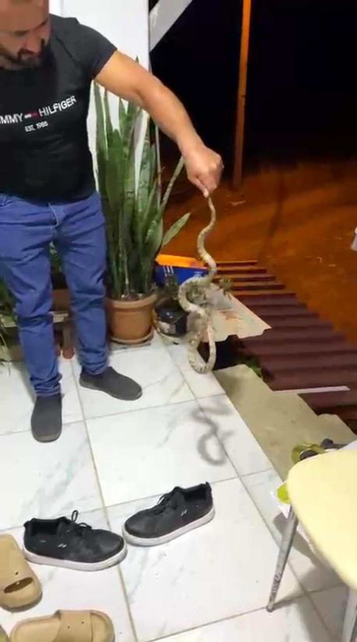 Yılan Ev Sahibi Tarafından Yakalandı