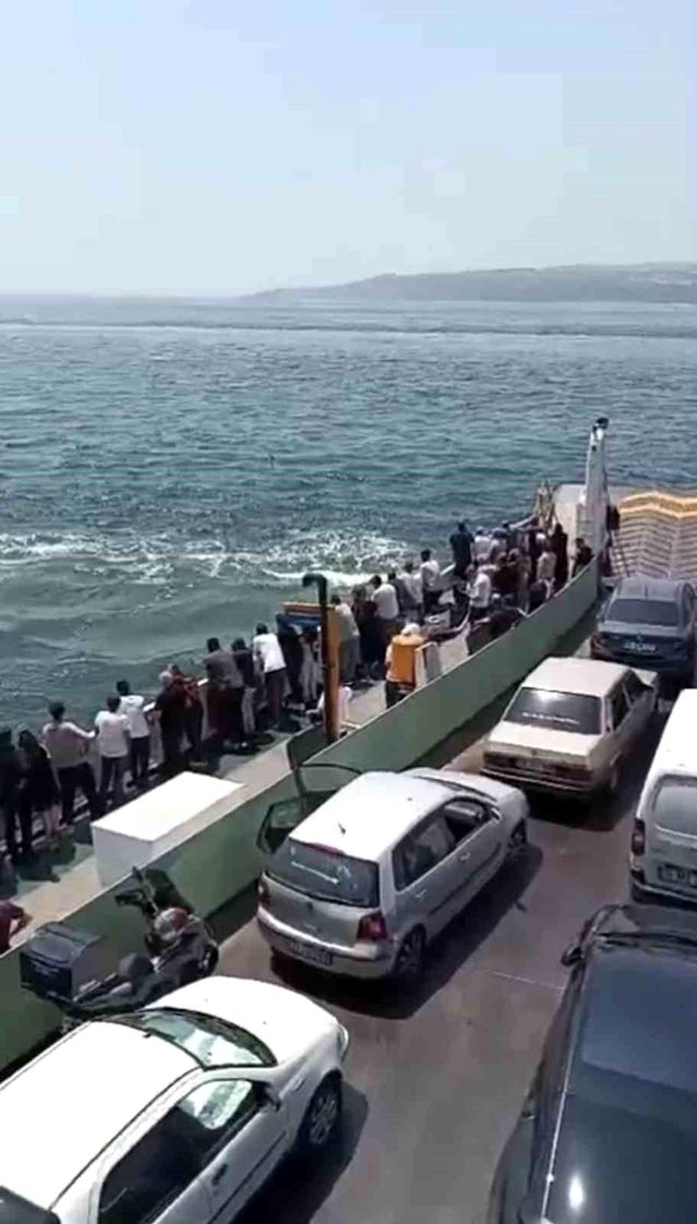 Feribottan Düşen Yolcu Kurtarıldı