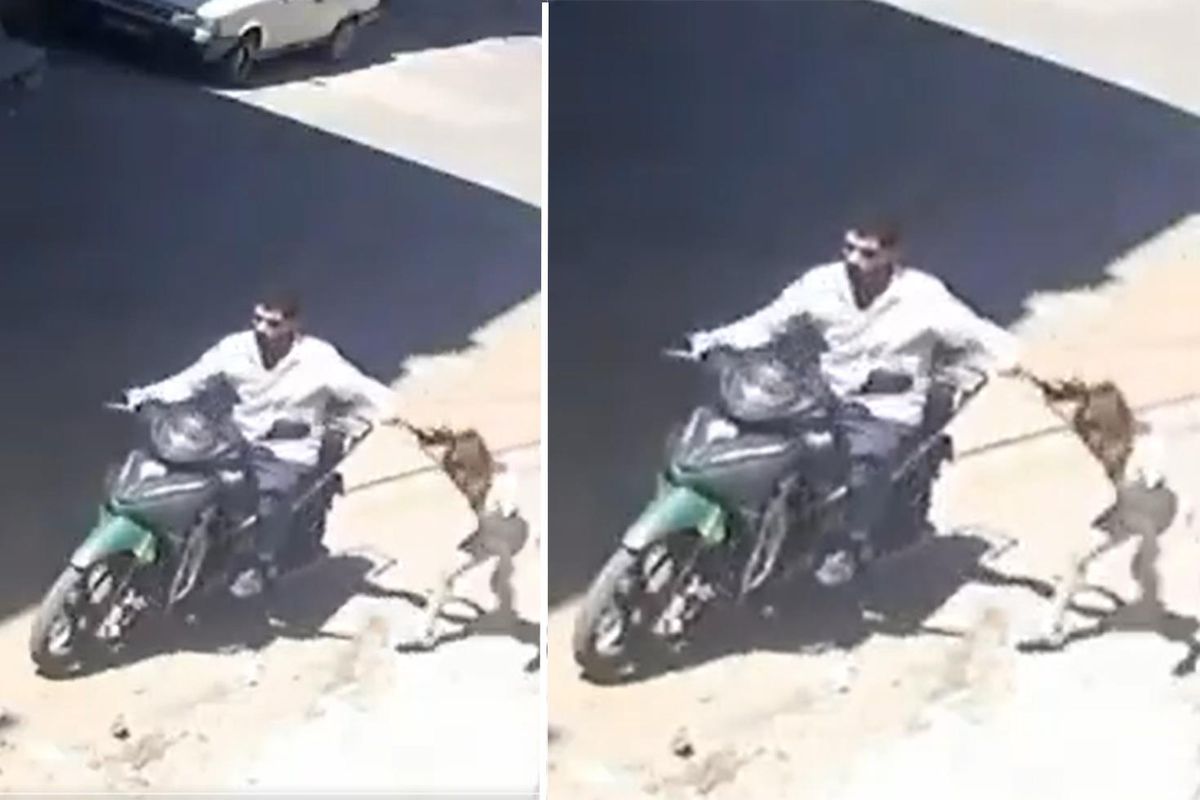 Gaziantep\'te kızına şiddet uygulayan baba gözaltına alındı