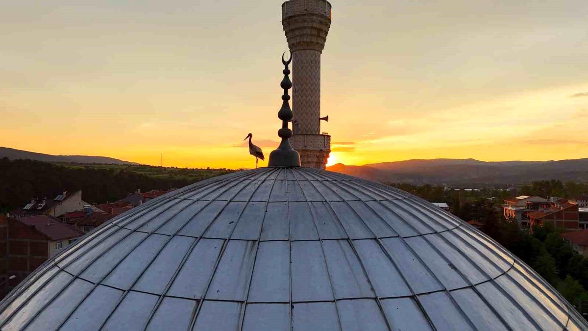 İhsangazi\'de Leyleklerin Camii Keyfi