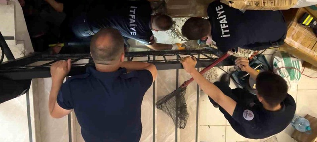 Edirne'de Merdiven Boşluğuna Sıkışan Kedi Kurtarıldı