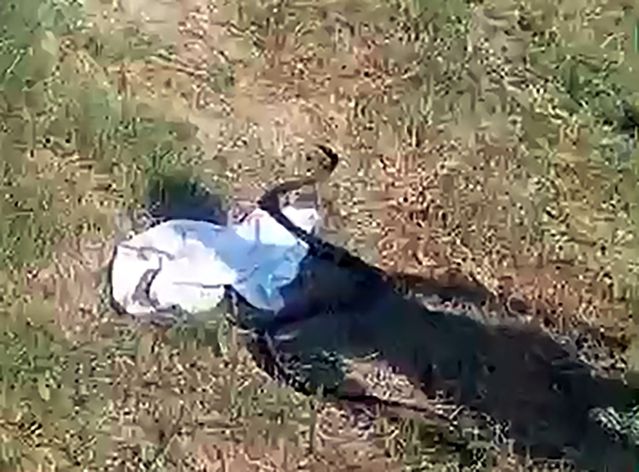 Adana'da Gençlerin Yılan Katliamı