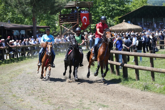 Ünye'de Geleneksel Rahvan At Yarışları Yapıldı