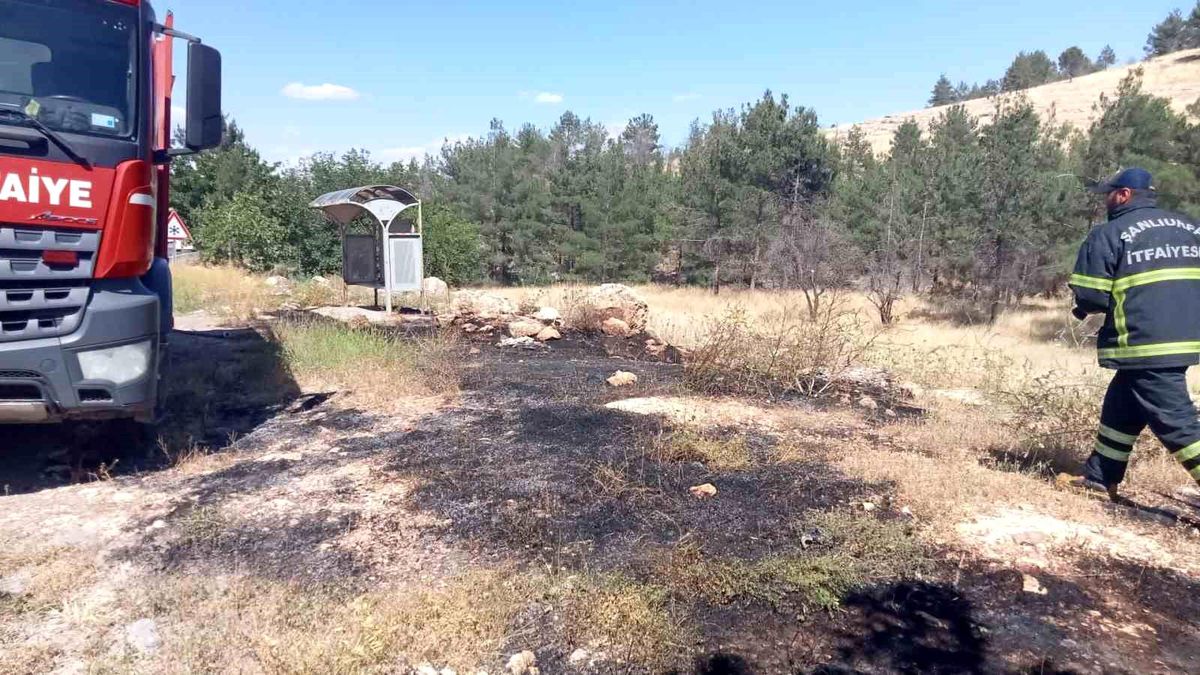 Şanlıurfa\'da Orman Yangını Söndürüldü