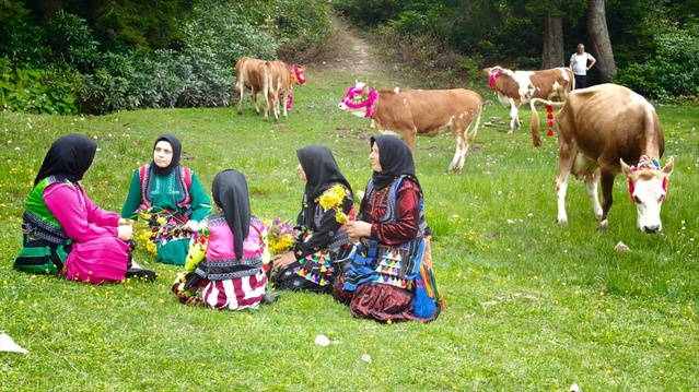 Trabzon'da Yayla Göçü Coşkusu