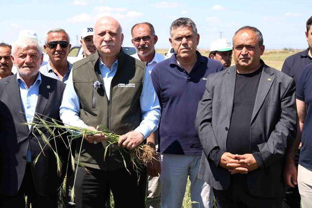 Aksaray'da Dolu Zararları için Yardım Talebi