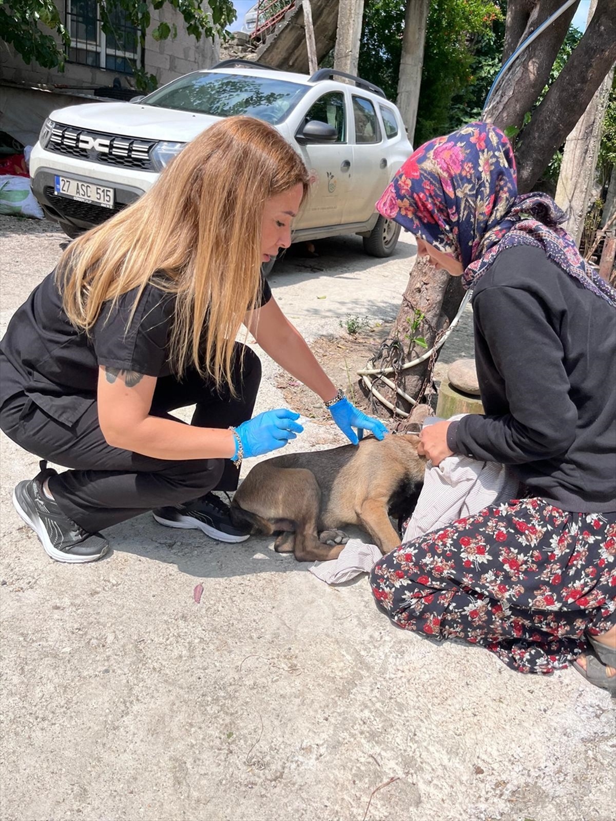 Adana\'da Sahipli Köpekler Kimliklendiriliyor