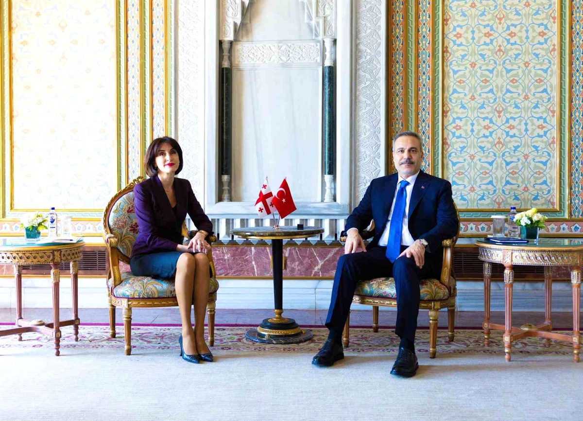 Fidan ve Botchorishvili Görüştü