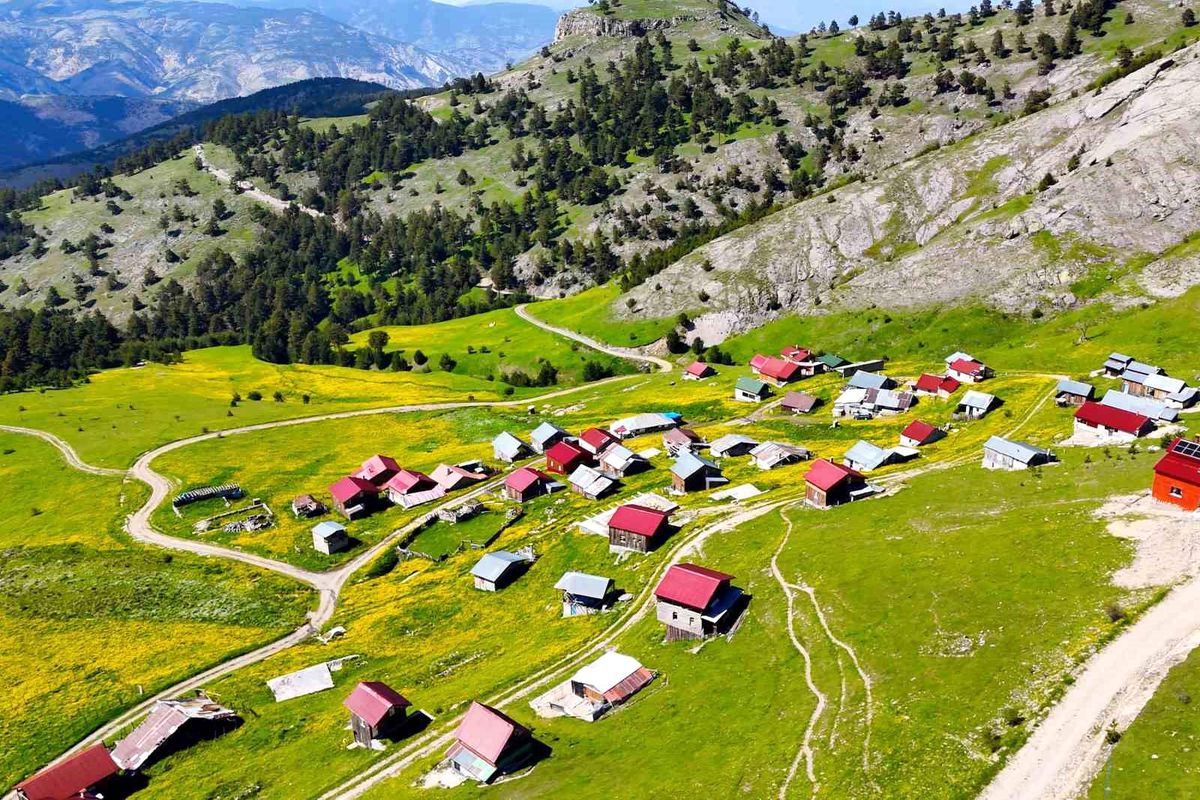 Rengarenk Altınpınar Yaylası