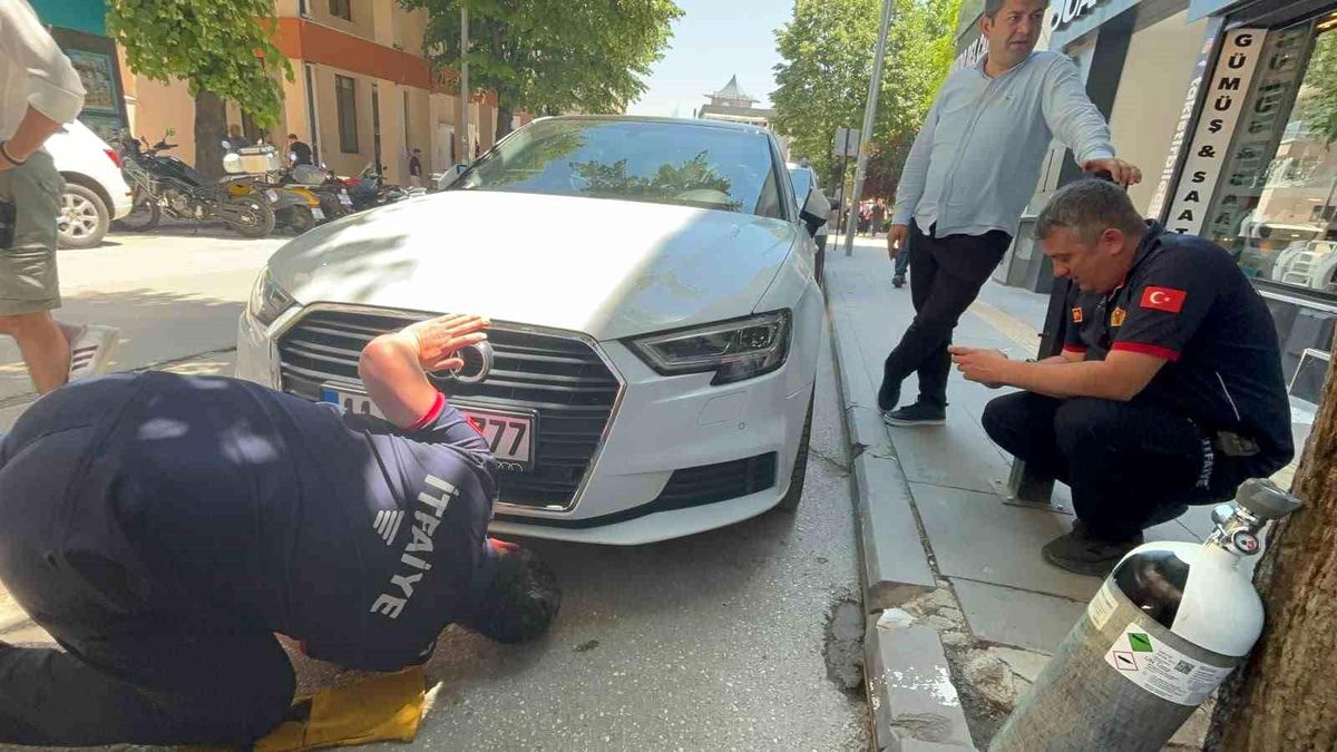 Bir arabadan çıkıp başka arabaların altına giren kedi itfaiyecilere zor anlar yaşattı