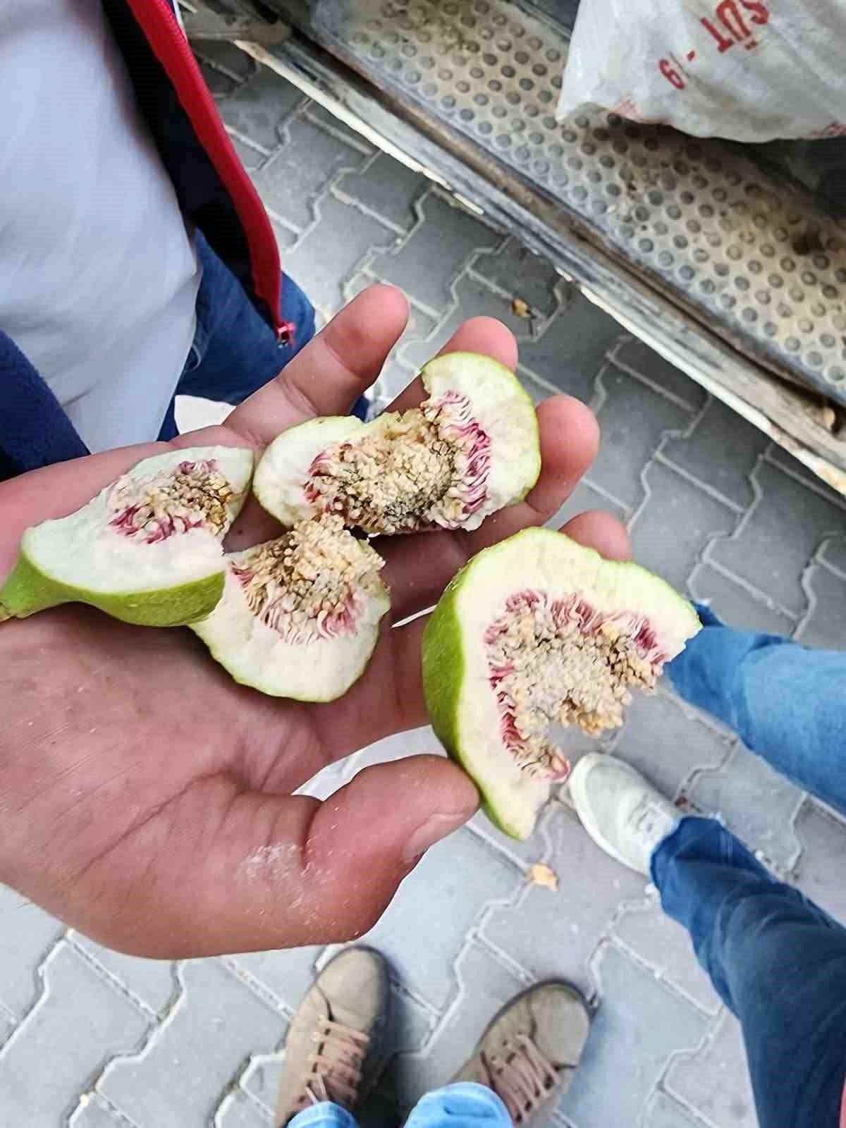 Buharkent\'te İlek Denetimleri Sürüyor