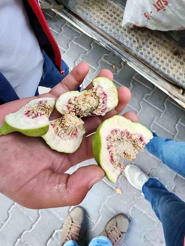 Buharkent'te İlek Denetimleri Sürüyor