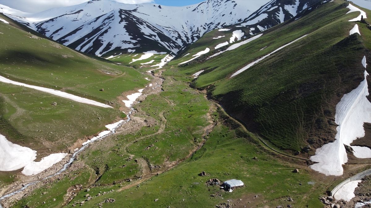 Zor Vadisi: Doğa Tutkunlarının Gözdesi