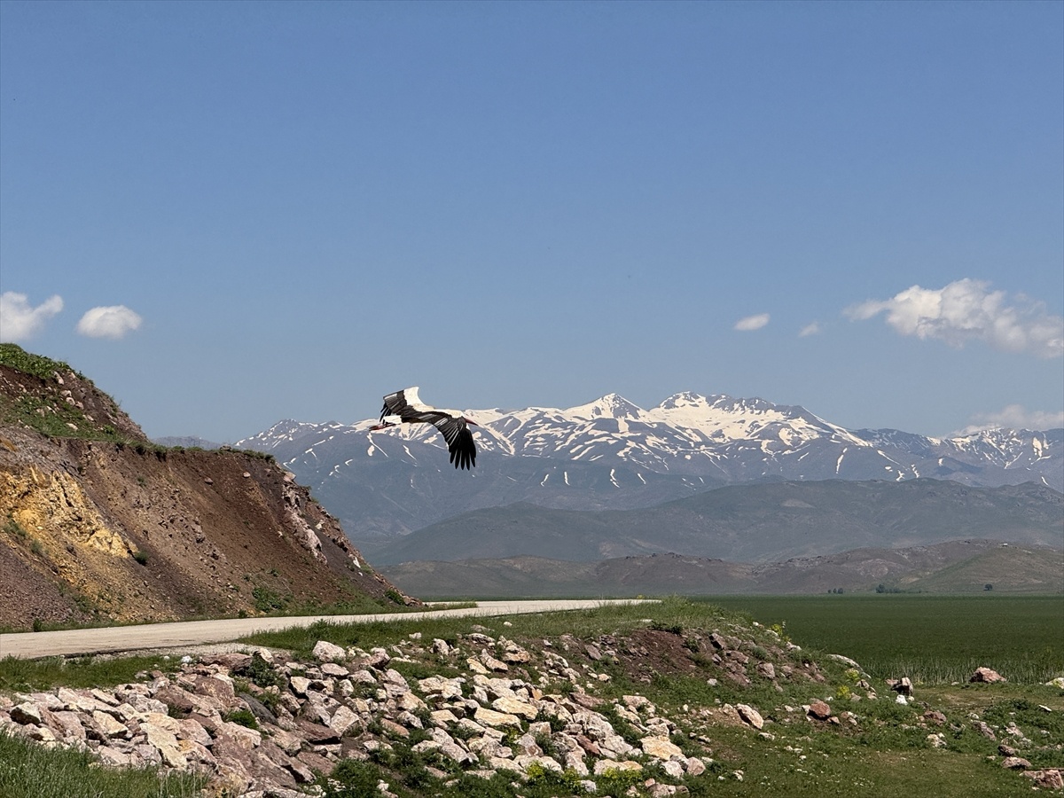 Öğrenciler Hakkari\'de Biyoçeşitliliği İnceledi