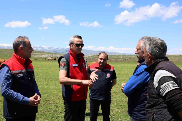 Kars'ta Hayvancılık Değerlendirmesi