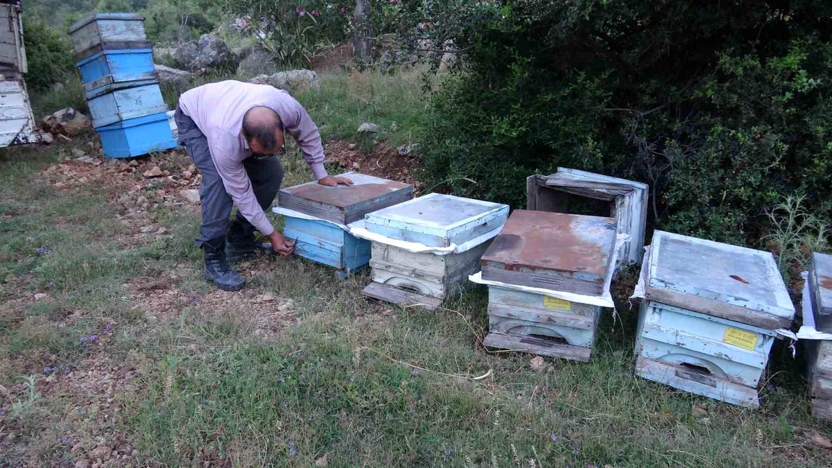 Kozan\'da Yayla Yolculuğu Başladı