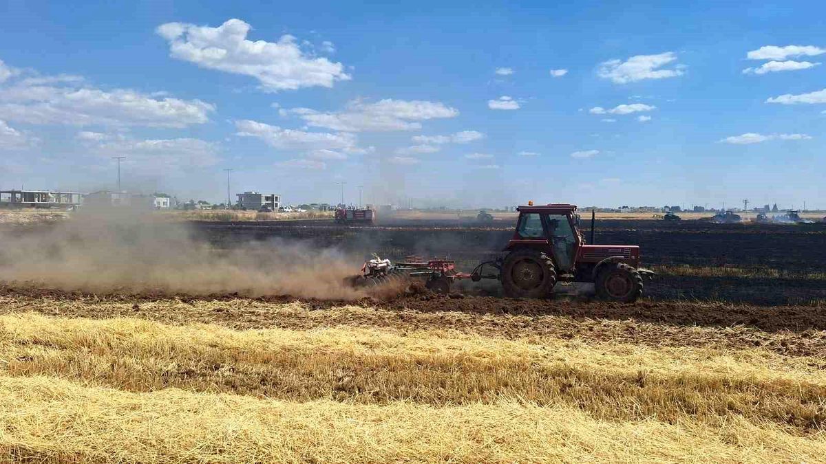 Kızıltepe\'de Yangın: 80 Dönüm Buğday Alanı Zarar Gördü