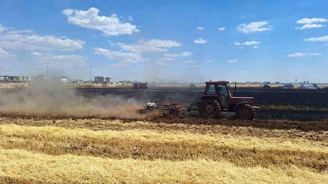 Kızıltepe'de Yangın: 80 Dönüm Buğday Alanı Zarar Gördü