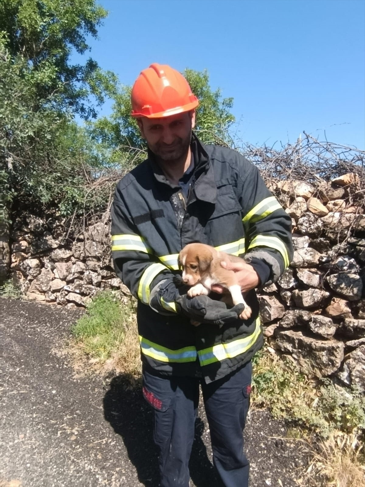 Köpek Yavrusu Kuyudan Kurtarıldı