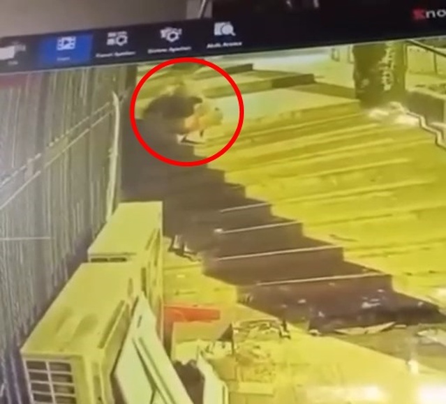 Mini etek giyip peruk takan erkek, mağazadan kilim çaldı; o anlar kamerada