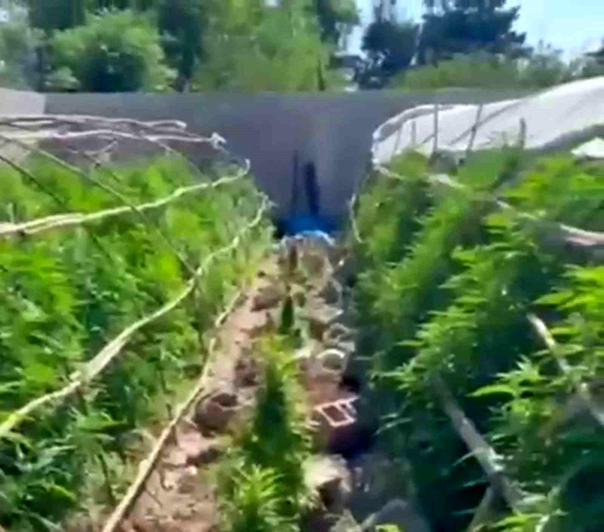 Hatay\'da Uyuşturucu Operasyonu