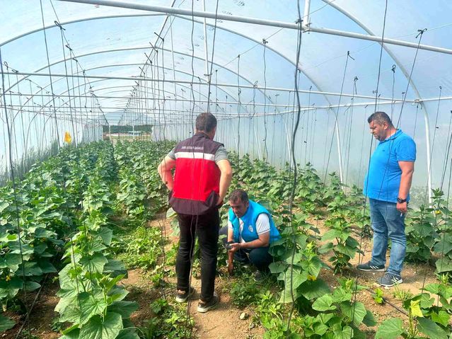 Tavşanlı'da Cezaevi Serası Denetimi