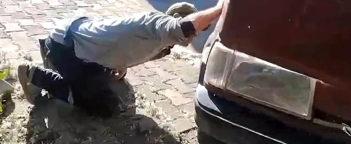 Otomobilin Motorunda Yılan Panic Yaratıyor