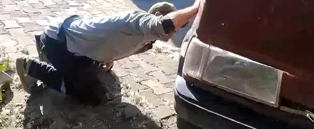 Otomobilin Motorunda Yılan Panic Yaratıyor