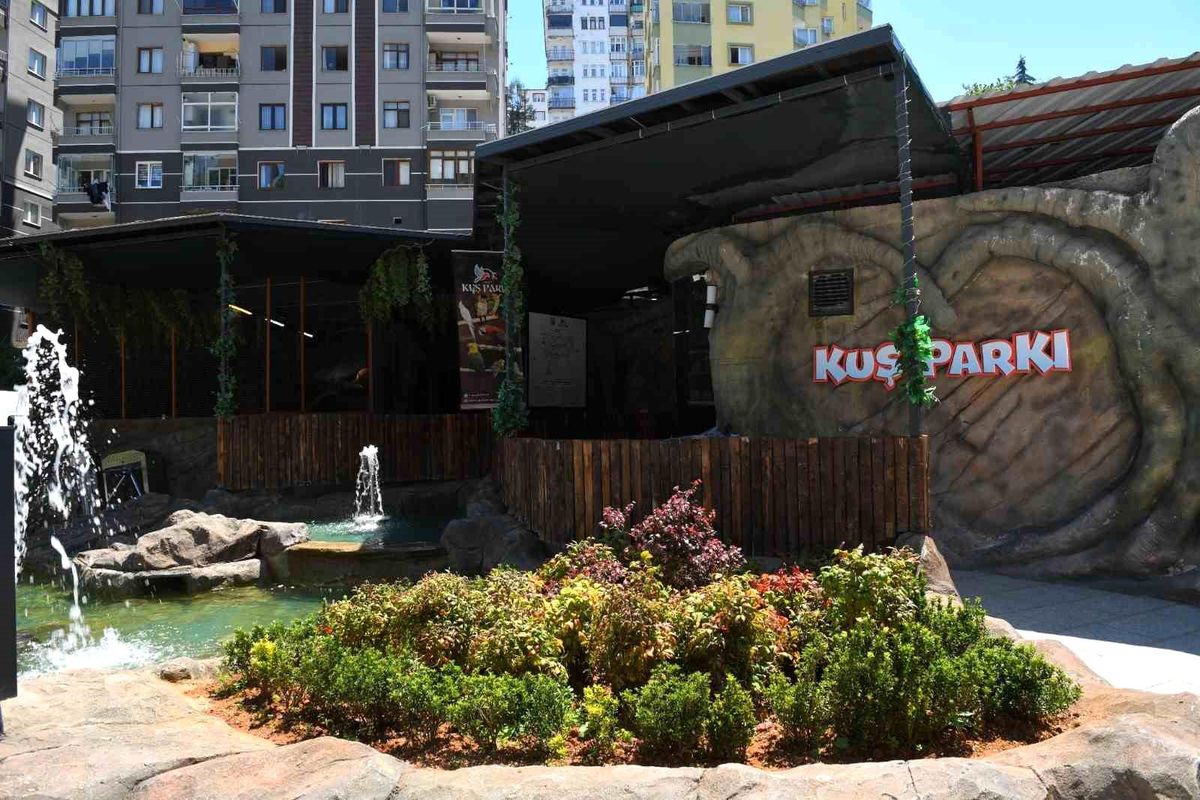 Trabzon\'da kuş parkı ilgi çekiyor