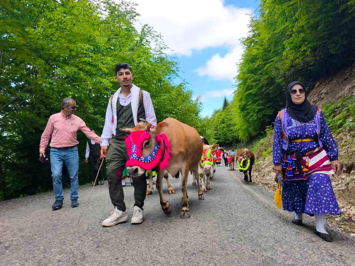 Trabzon\'un Şalpazarı ilçesinde geleneksel yayla göçü başladı