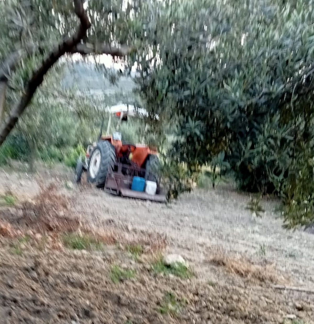Traktör altında kalan yaşlı adam hayatını kaybetti