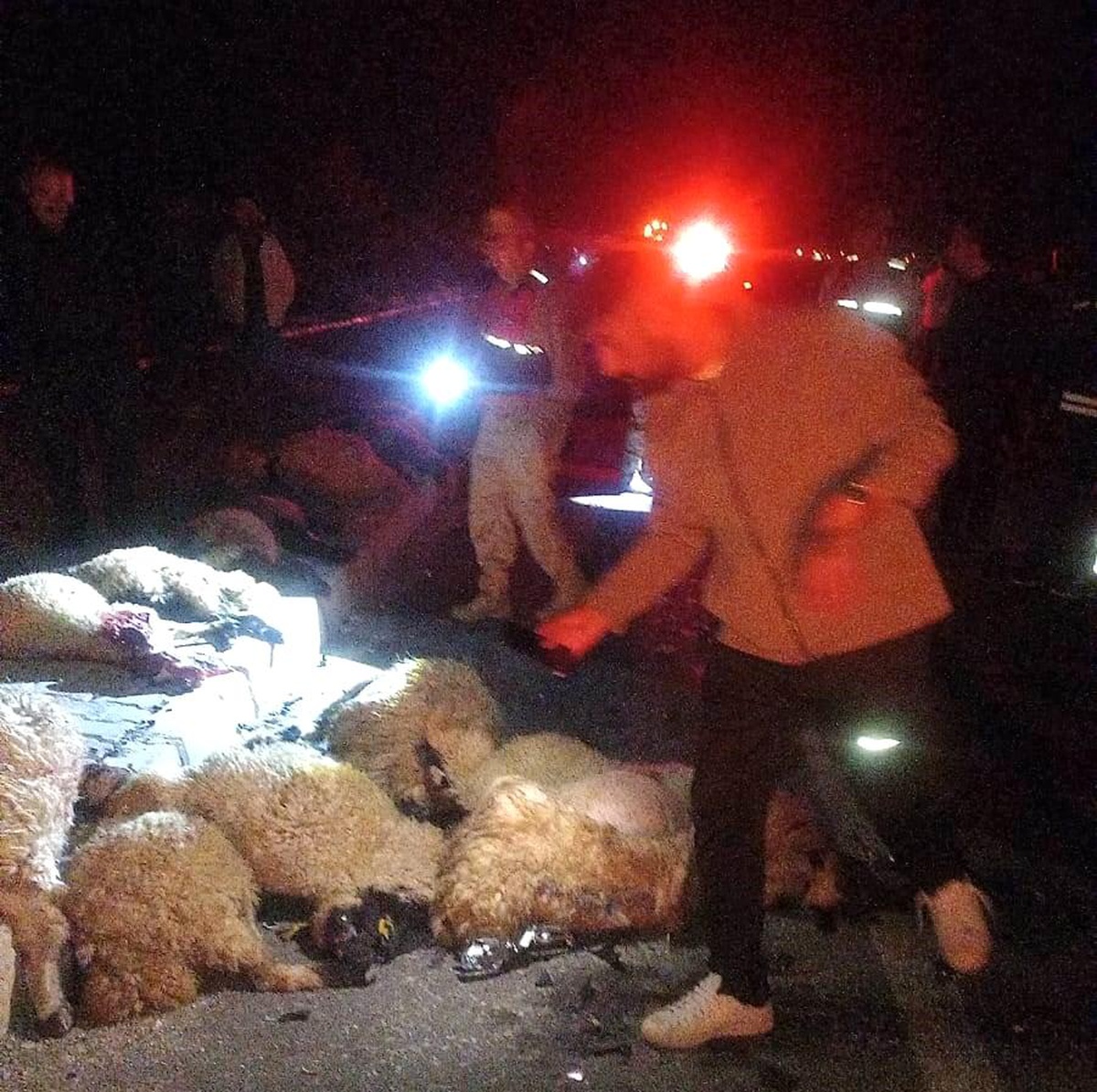 Van\'da Trafik Kazası: 17 Koyun Telefi