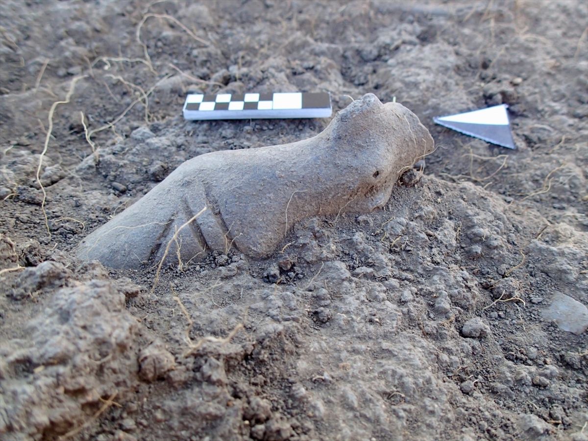 Kanlıtaş Höyüğü\'nde 8 Bin Yıllık Figürinler Bulundu